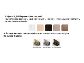 Шкаф-купе Акцент-Сим Д 1200-600 шимо светлый в Очёре - ochyor.magazinmebel.ru | фото - изображение 3